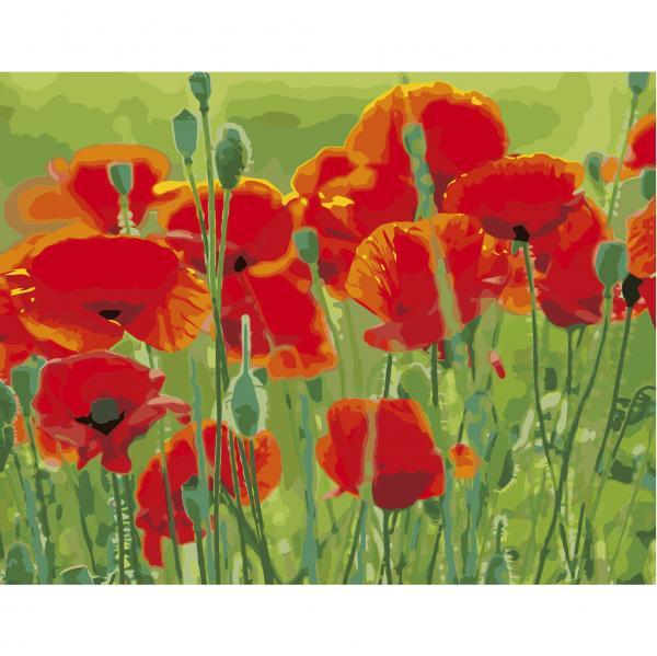 Картина по номерам Strateg Маки в поле 40х50 см термопакет (VA-2660)