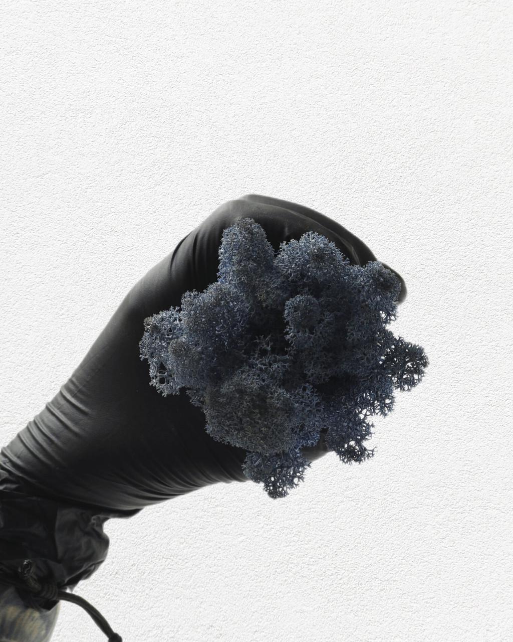 Стабілізований мох Autumn (20698622) - фото 3