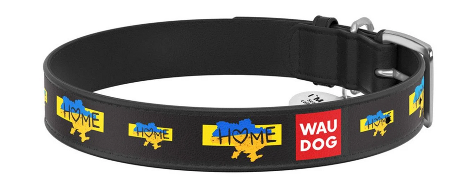 Ошейник для собак кожаный WAUDOG Design с QR паспортом Дом ХL 35 мм 46-59 см Черный (Collar3606-0230-01)