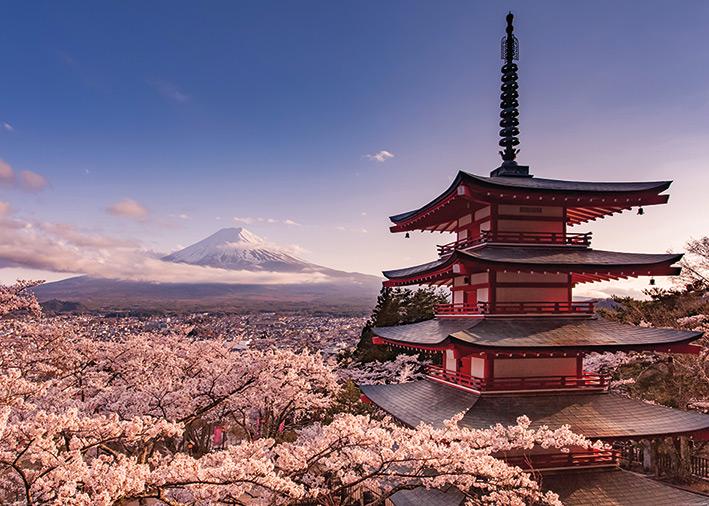 Постер плакат Гора Фудзи Блоссом/Mount Fuji Blossom 100x140 см