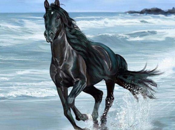 Картина по номерам Josef Otten Корабли Фрегат 40х50 см в термопакете (3399RA_O-mt)