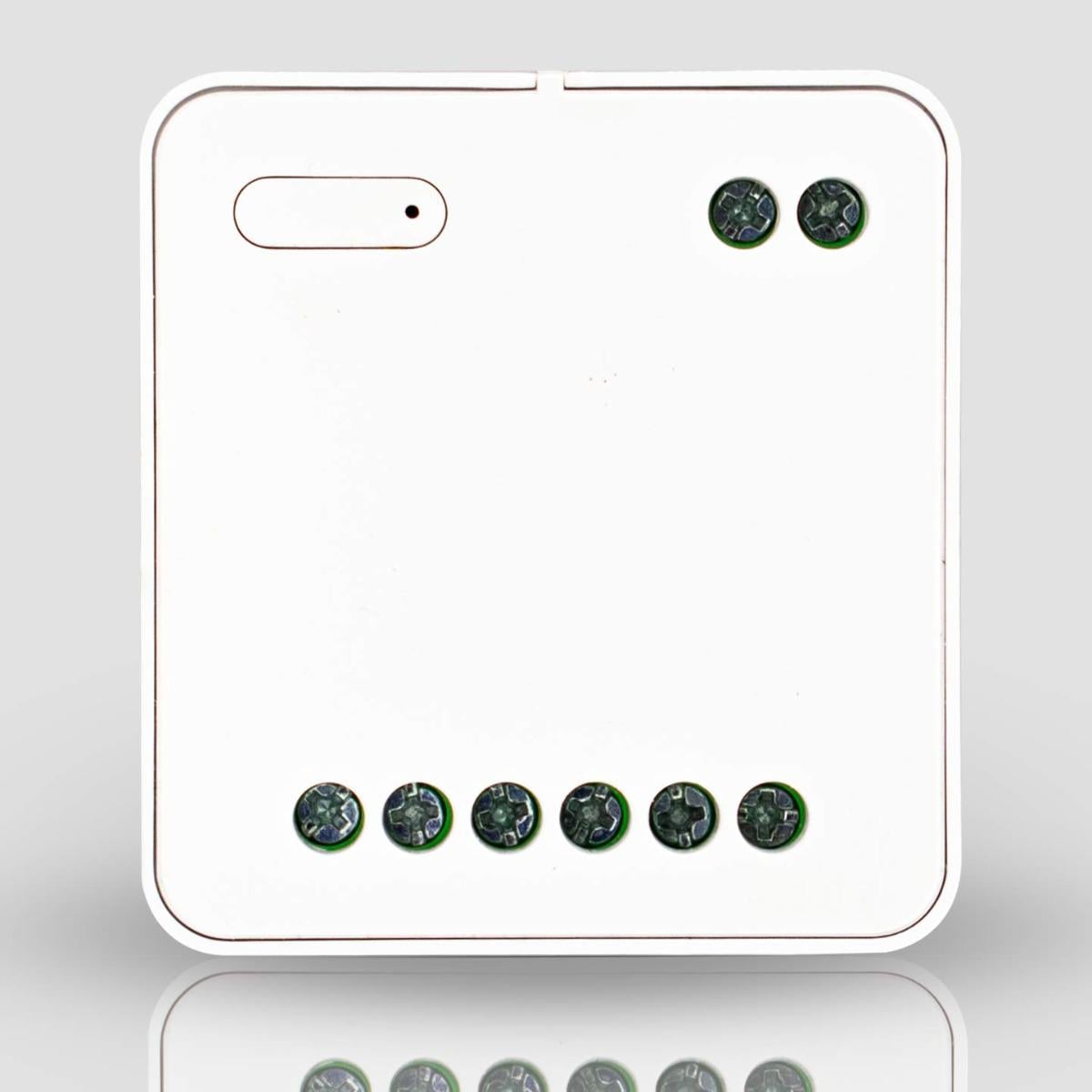 Реле двухканальное Wi-Fi Yeelight Smart Dual Control Module (WH00244)