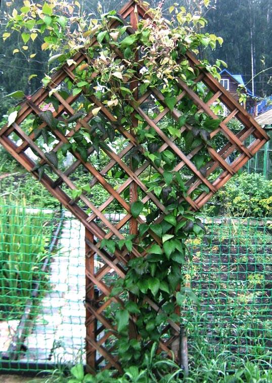 Шпалера садовая из дерева Кусери Капучино (ШПЛ-000507)