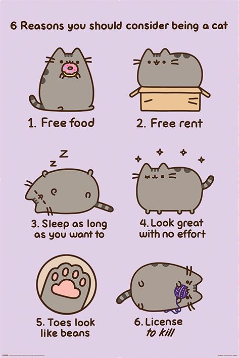 Постер плакат Pusheen Reasons To Be a Cat 61x91,5 см