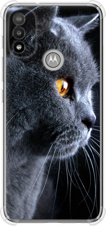 Чехол на Motorola E20 Красивый кот (3038sp-2509-42517)