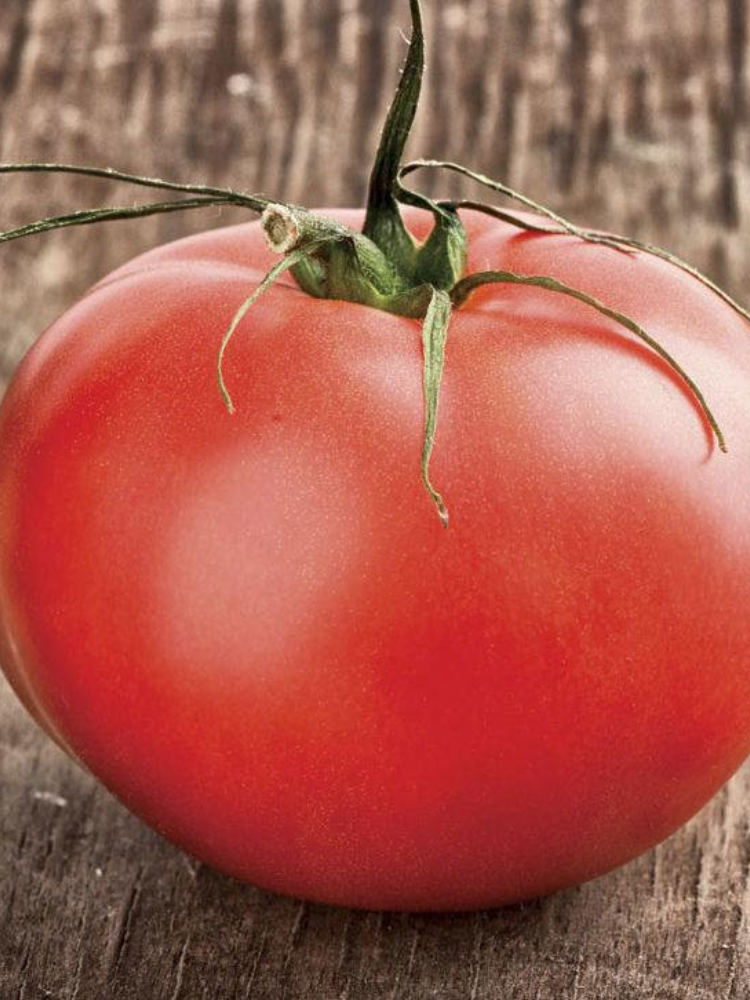 Семена Томат GL Seeds Национальная Гордость 0,15 г (349)