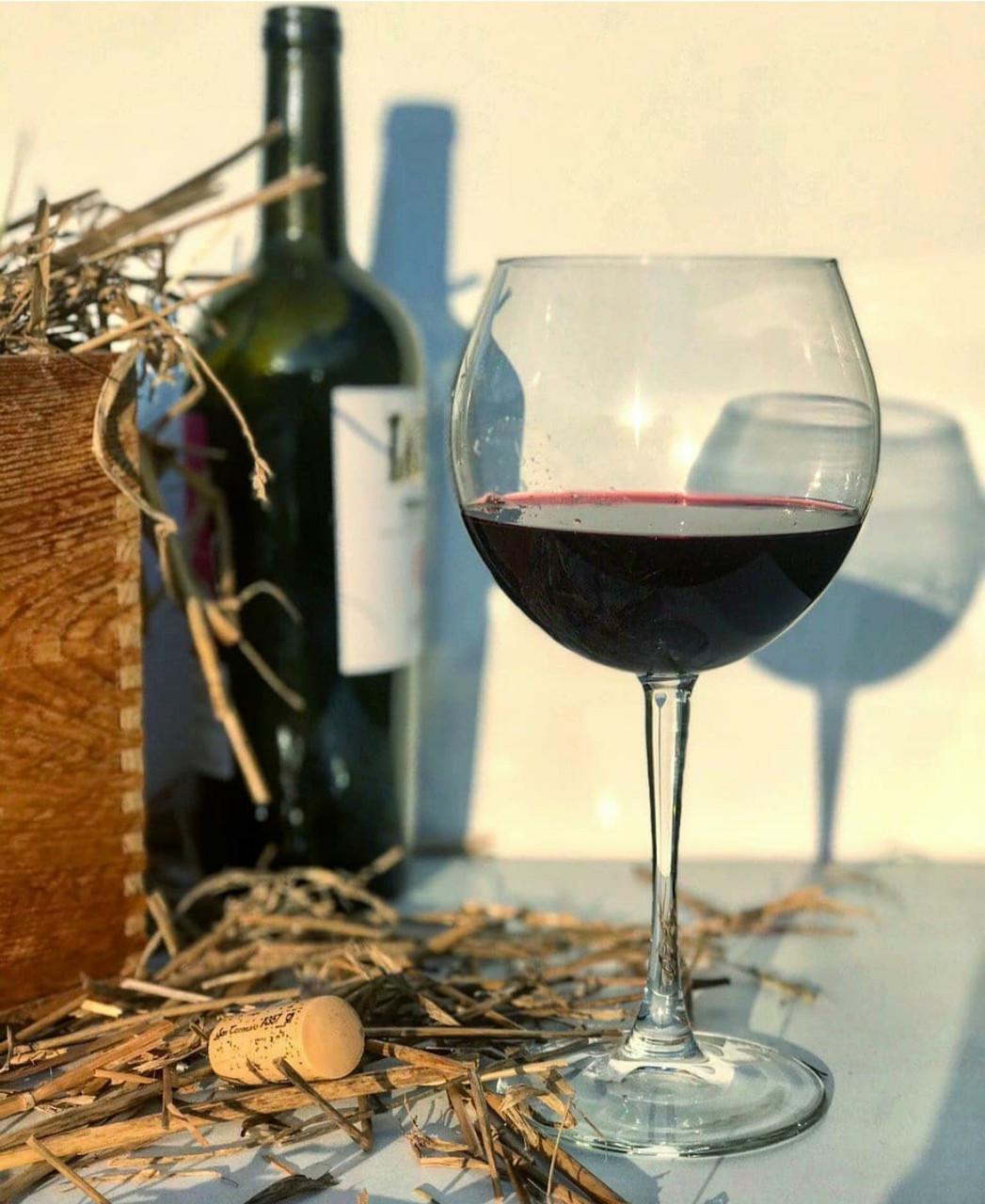 Набір келихів для вина Pasabahce Enoteca 655 мл 6 шт. (44238) - фото 4 Набір келихів для вина Pasabahce Enoteca 655 мл 6 шт. (44238) - фото 4