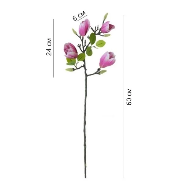 Ветви магнолии декоративные 3 шт. (G00028) - фото 12 Ветви магнолии декоративные 3 шт. (G00028) - фото 12