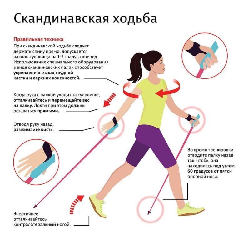 Треккинговые палки для скандинавской ходьбы Feel Fit 2 шт. Синий - фото 3