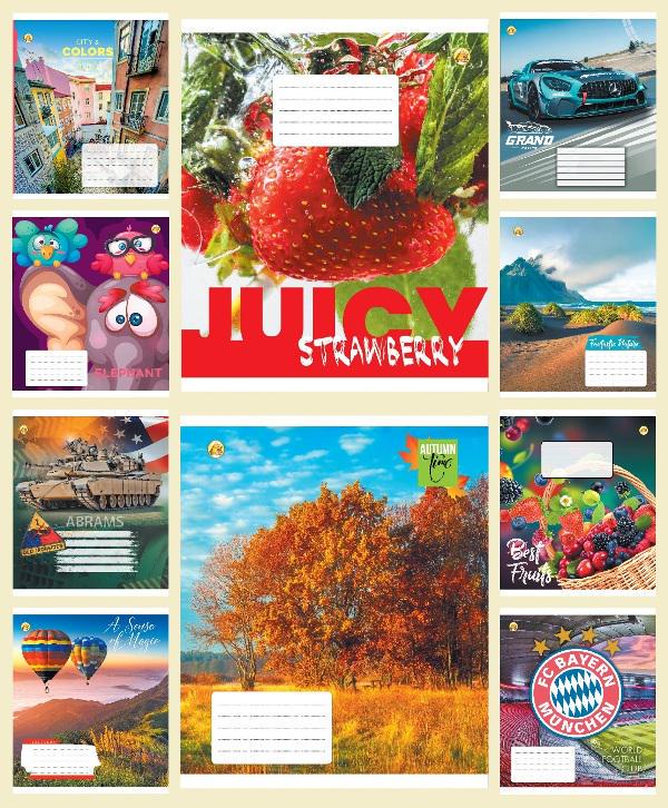 Зошити учнівські Тетрада ТЕ21216 18КВ4 Мікс 18 арк. 20 шт. в уп. (MTT-146716)