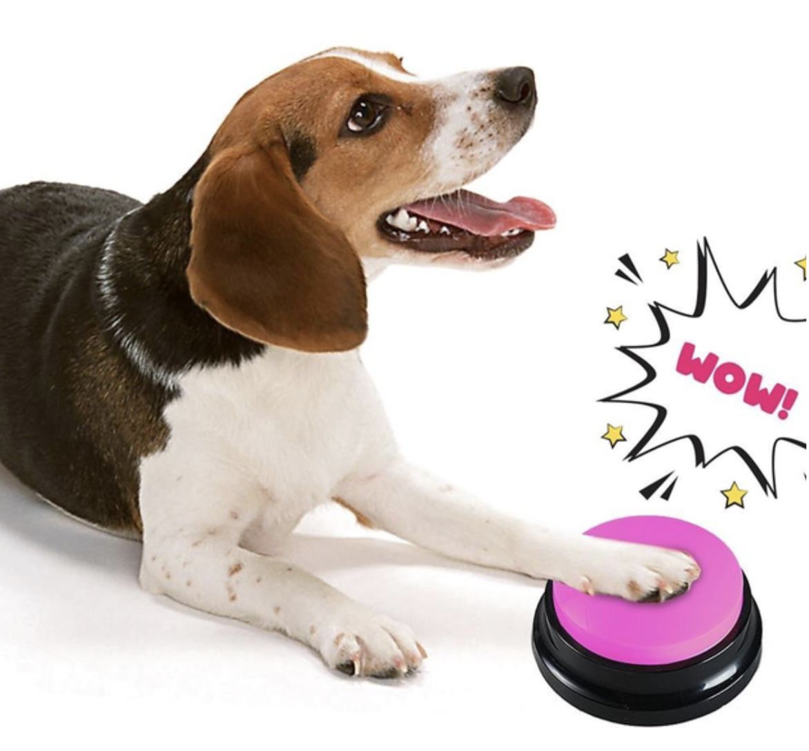 Звукова кнопка для собак та котів Pet Button з голосовою командою 9x4,5 см Помаранчевий (MK001047) - фото 9 Звукова кнопка для собак та котів Pet Button з голосовою командою 9x4,5 см Помаранчевий (MK001047) - фото 9