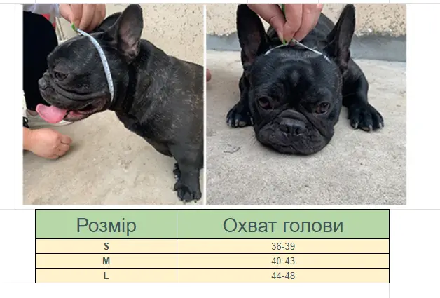 Намордник для собак брахицефалов S Черный (1892961622) - фото 5 Намордник для собак брахицефалов S Черный (1892961622) - фото 5
