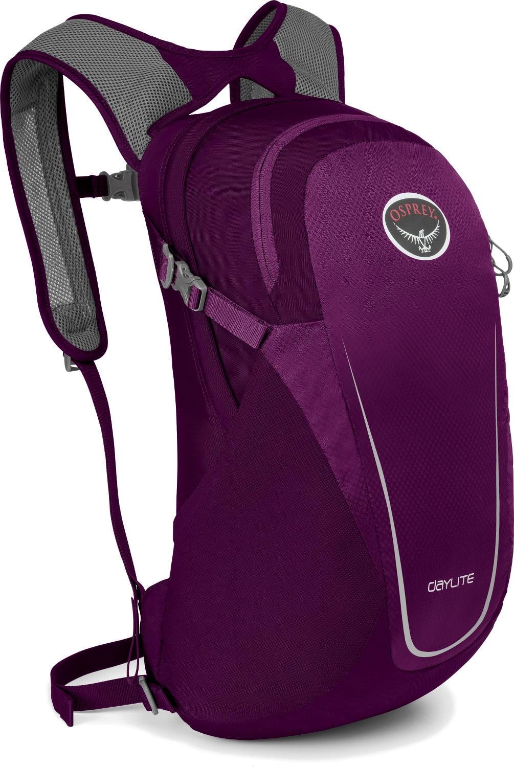 Рюкзак Osprey Daylite 2020 Фиолетовый