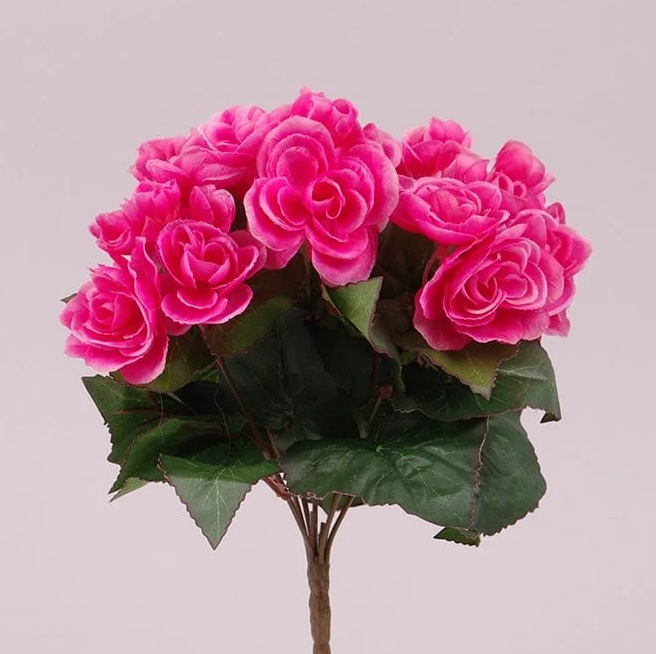 Букет Бегоний Flora Розовый (72830)