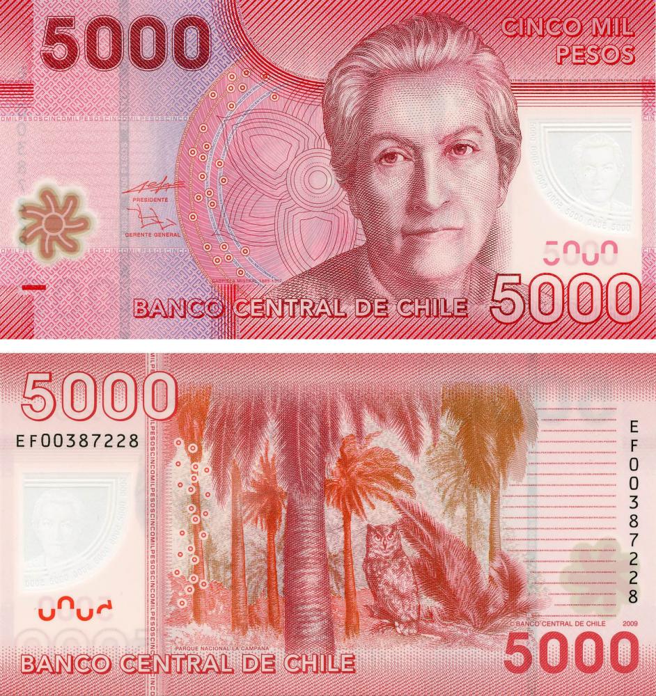 Коллекционная банкнота Чили 5000 песо 2009 Полимер UNC Сова Национальный парк Ла-Кампана P163 (Б13401)