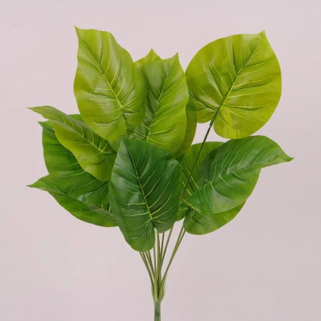 Букет Филодендрона декоративный Flora (72999)