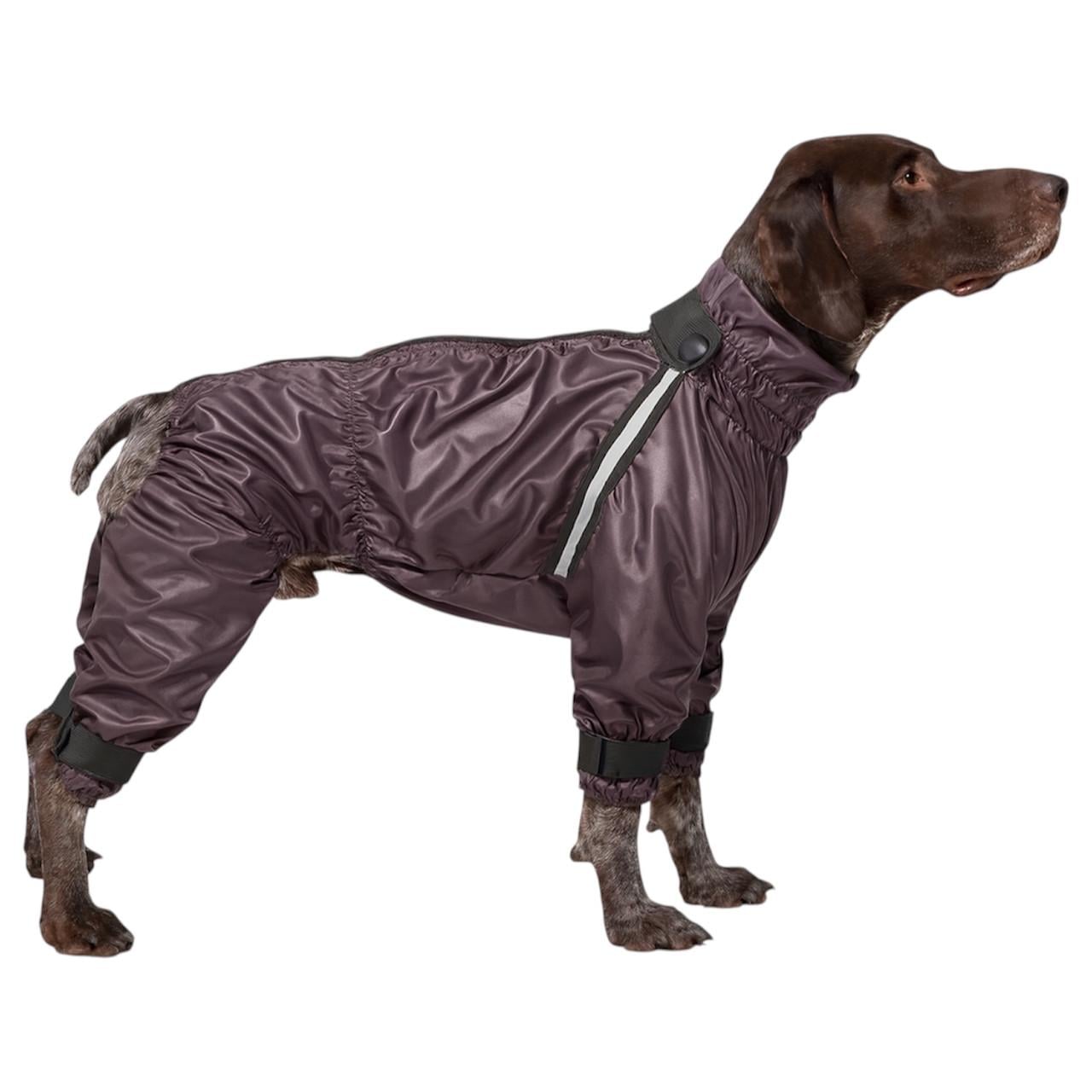 Дождевик для собак мальчиков Diego Rain р. 8 (124181744)