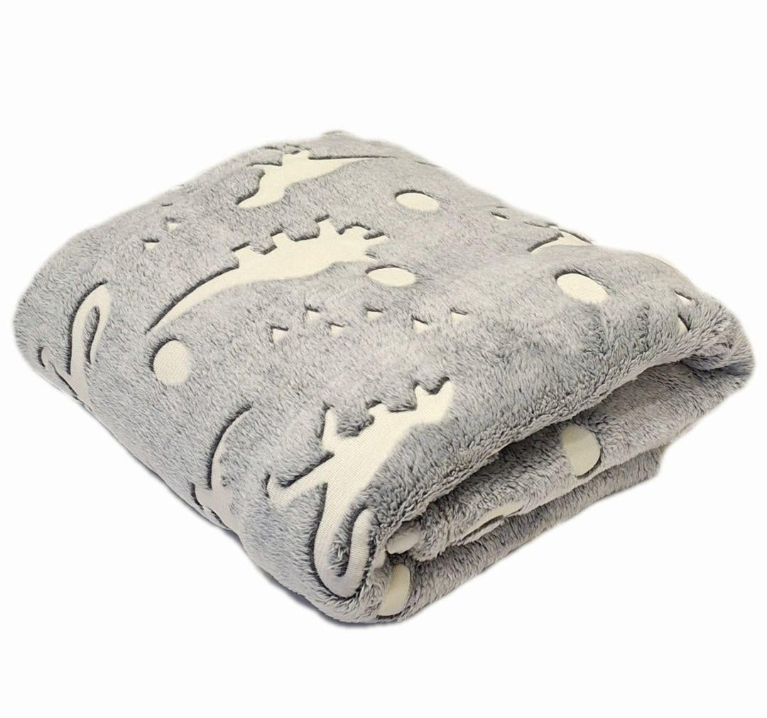 Плед светящийся в темноте Colorful Home Динозавры флисовый 150x200 см (565) Плед светящийся в темноте Colorful Home Динозавры флисовый 150x200 см (565)