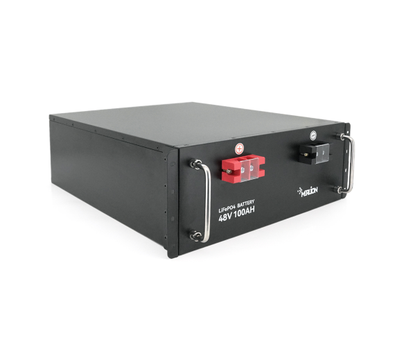 Аккумулятор Merlion LiFePO4 48 V 100AH for Solar Аккумулятор Merlion LiFePO4 48 V 100AH for Solar