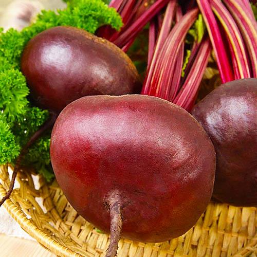 Семена Свекла Florium Египетская плоская (7490)