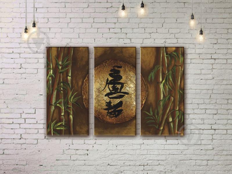 Модульная картина акрилом фен-шуй ArtStar MHM17_3_196 размер 60 х 90 см