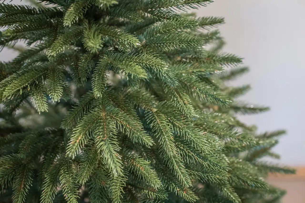 Искусственная елка литая Ель 1,8 м (12901693) - фото 3 Искусственная елка литая Ель 1,8 м (12901693) - фото 3