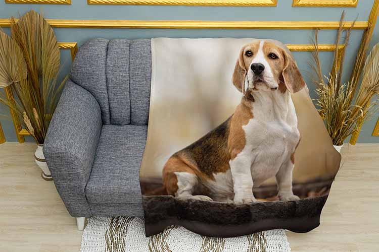 Плед A beautiful beagle плюш двухслойный 135х150 см (113441-2)