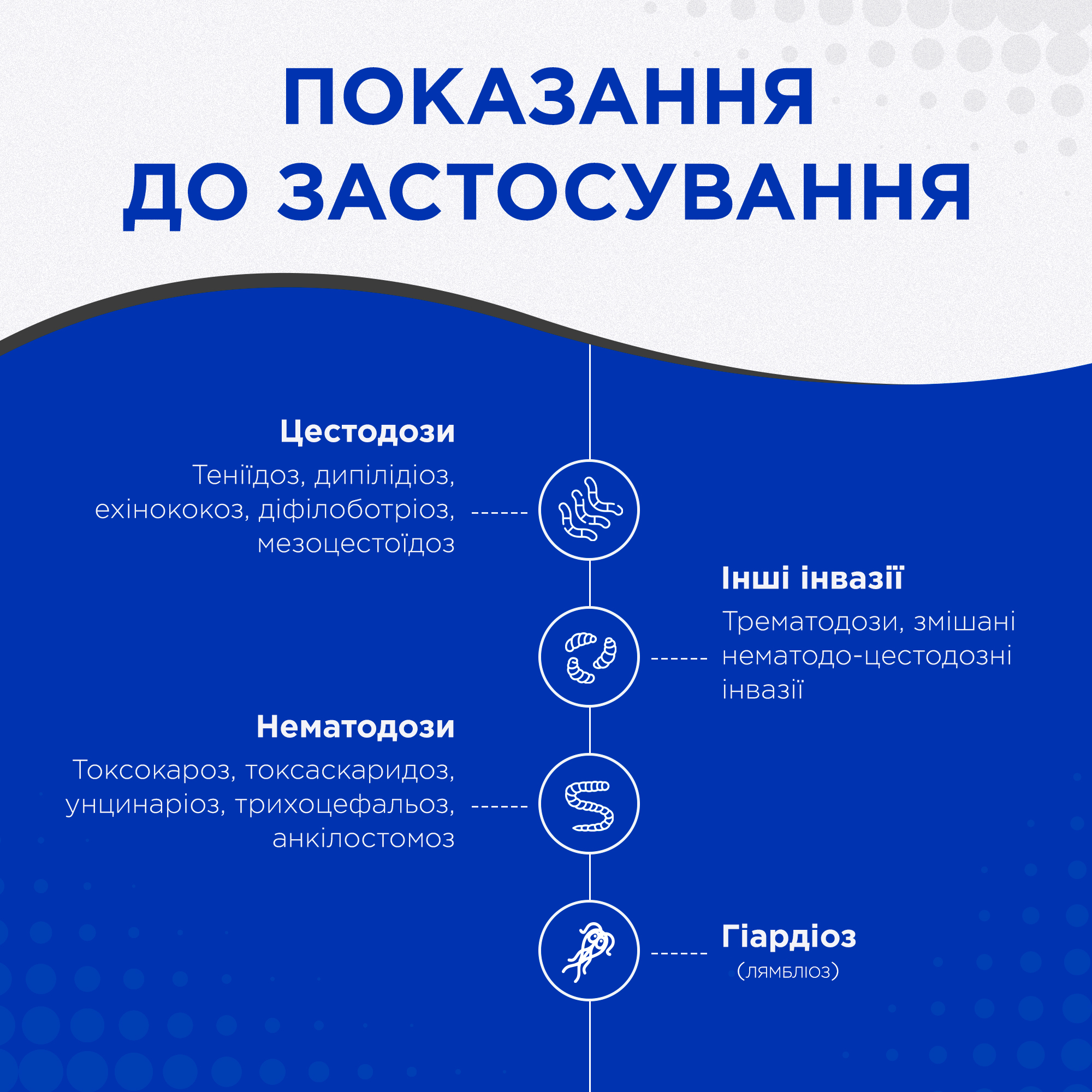 Таблетки антигельмінтні Kvantefen для собак та котів 1 таб на 10 кг 4 табл. (27850165) - фото 4 Таблетки антигельмінтні Kvantefen для собак та котів 1 таб на 10 кг 4 табл. (27850165) - фото 4