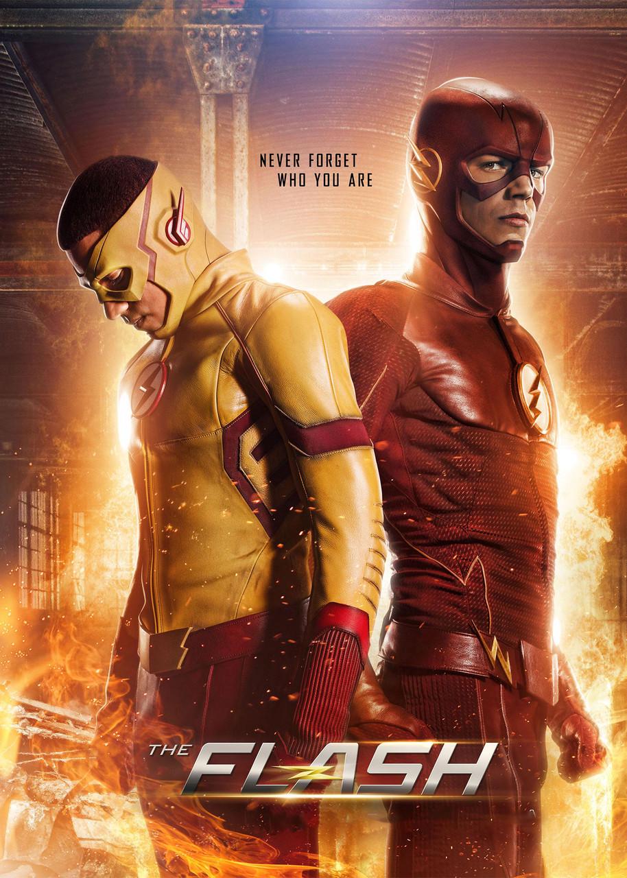 Картина GeekLand The Flash (TF 09.065)
