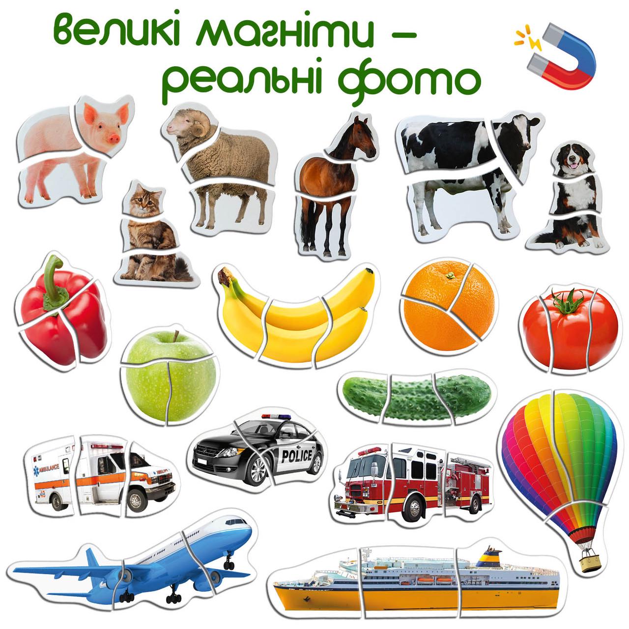 Подарунковий набір магнітних пазлів Magdum 54 шт. (ML4031-62 EN) - фото 3 Подарунковий набір магнітних пазлів Magdum 54 шт. (ML4031-62 EN) - фото 3