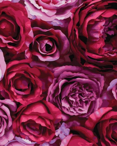 Картина по номерам Brushme Цветы Пионовидные розы 40х50 см в термопакете (GX36676) Картина по номерам Brushme Цветы Пионовидные розы 40х50 см в термопакете (GX36676)