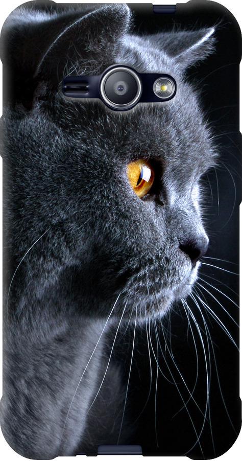 Чехол на Samsung Galaxy J1 Ace J110H Красивый кот (3038t-215-42517)