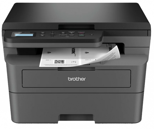 МФУ Brother DCPL2600DYJ1 (1636905)