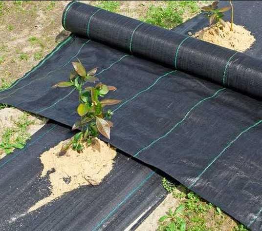 Геотекстиль для мульчування Shadow 150 г/м2 1,2х50 м Чорний (iz16428) - фото 2 Геотекстиль для мульчування Shadow 150 г/м2 1,2х50 м Чорний (iz16428) - фото 2