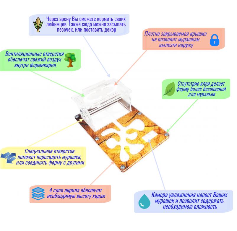 Мини муравьиная ферма с ареною VinniAnts Эко-дерево - фото 4