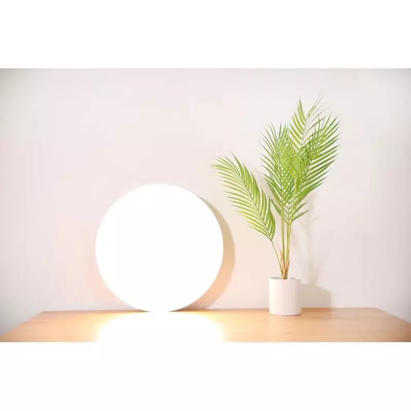 Стельовий світильник Mi Smart LED Ceiling Light 350 мм (1836556032)