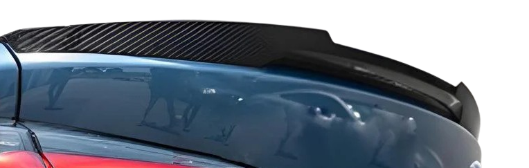 Спойлер DPT V-1 для G22 глянцевий для BMW 4 серія G22/23/26 2020- Чорний (130843)