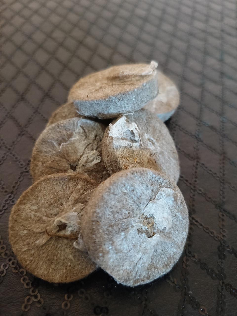 Торфяні таблетки 36 (2300678525)