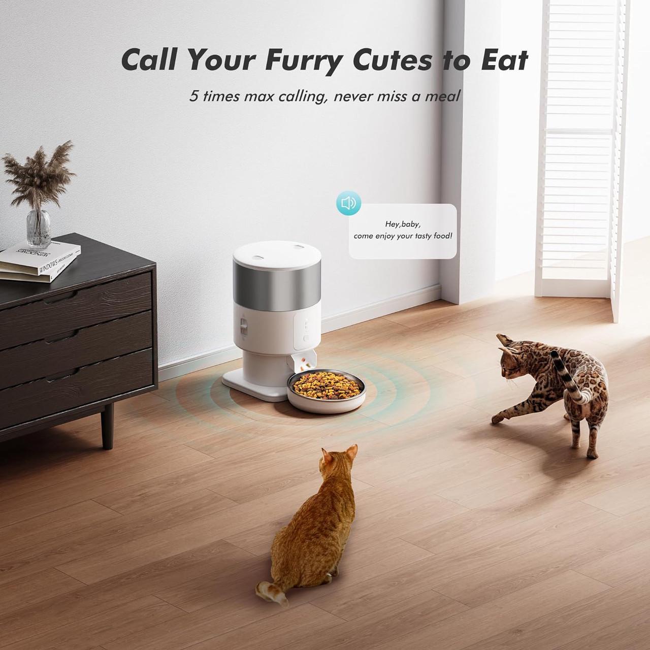 Автоматическая кормушка для кошек и собак Petrust PF07 Wi-Fi 2 л (2203500949) - фото 9