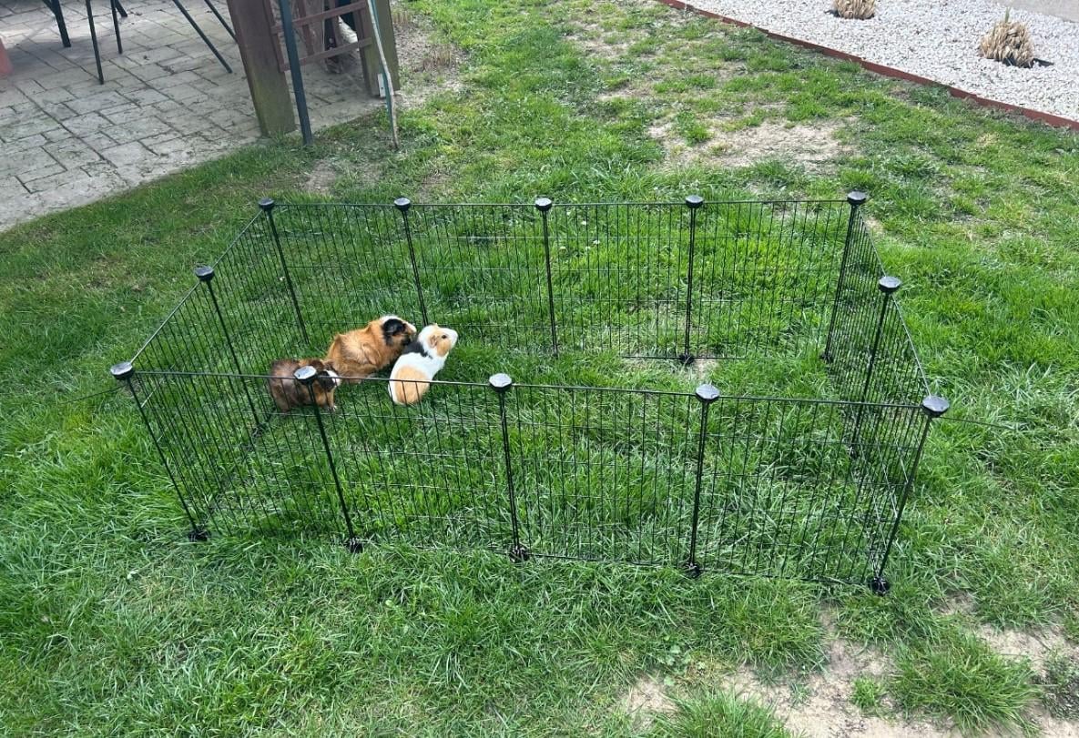 Клітка для гризунів 46х143х73 см - фото 22 Клітка для гризунів 46х143х73 см - фото 22