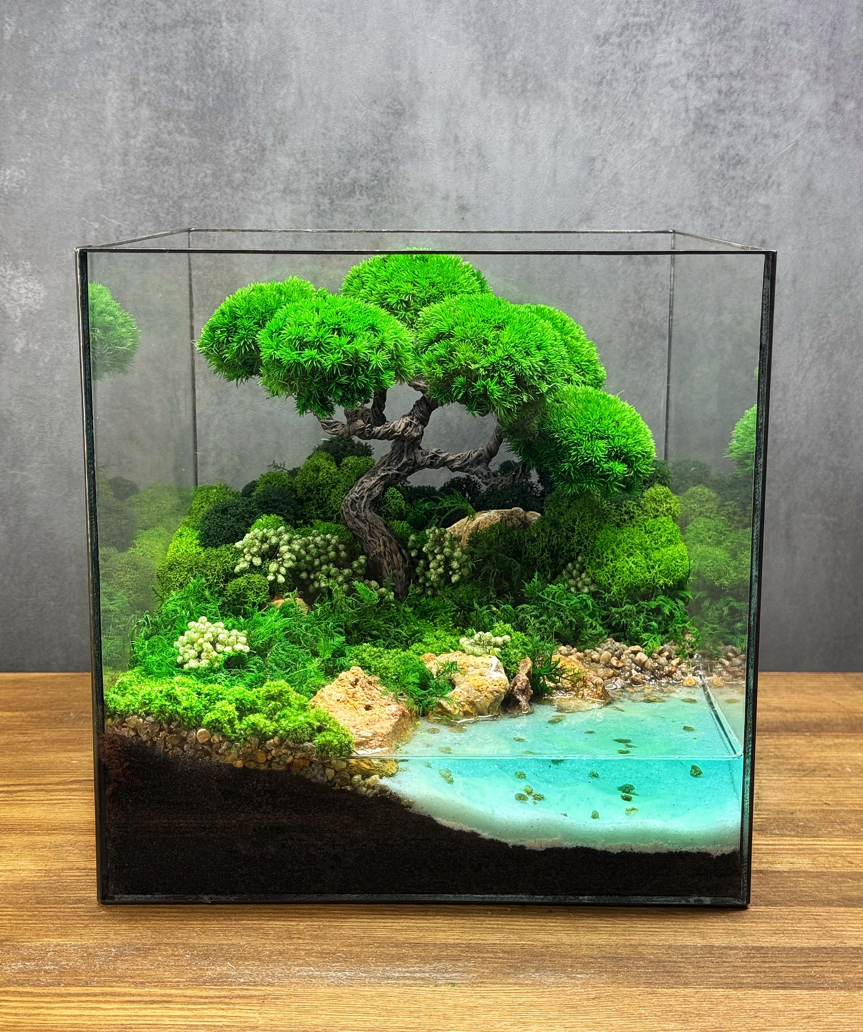 Флорариум Савана с бонсай без присмотра 22 см