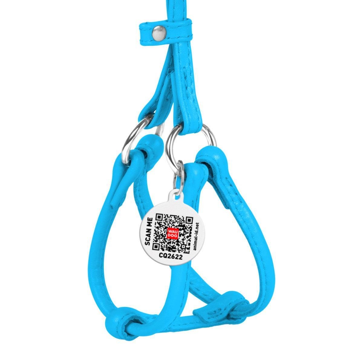 Шлея с поводком для собак Waudog Glamour с QR паспортом/круглая/кожаная 6 мм х 26-46 см х 30-50 см Голубой (34012 Col)