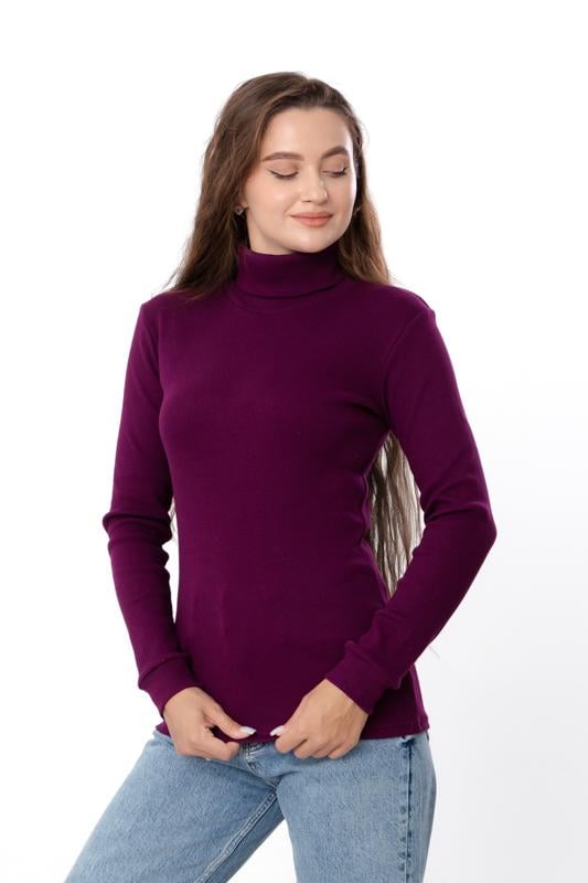 Водолазка жіноча Носи Своє р. 42 Баклажанний (8047-019-1) Водолазка жіноча Носи Своє р. 42 Баклажанний (8047-019-1)