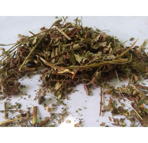 Сушена трава парила Herbs Zaporoje 5 кг (С0113)