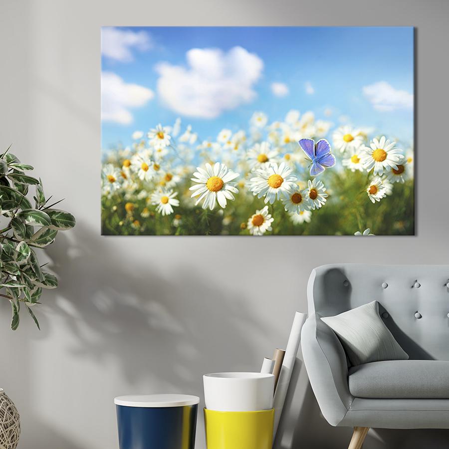 Картина на холсте Солнечный день на ромашковом полем 51x34 см (260-1)