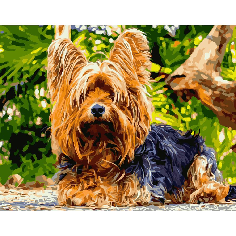 Картина по номерам Strateg Премиум Ушастый йорк 40х50 см (GS320)