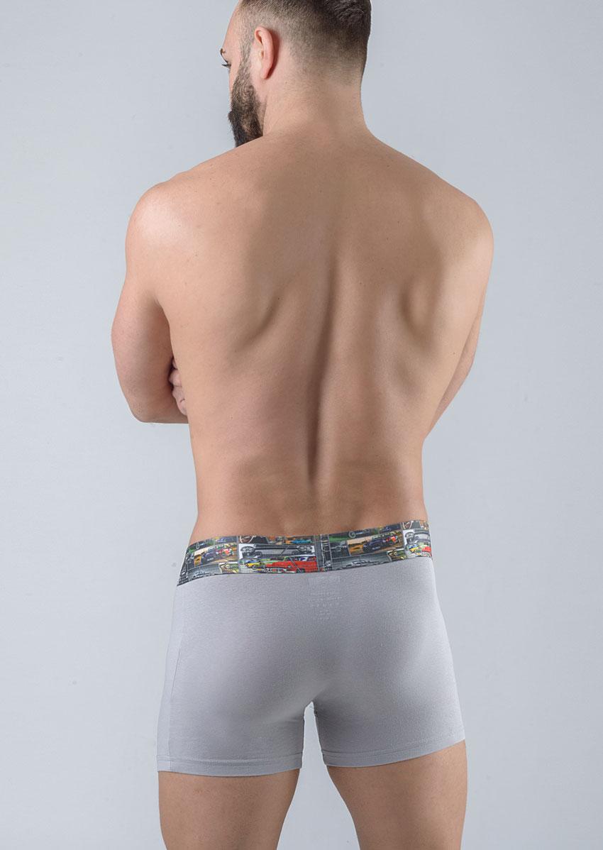 Трусы боксеры Geronimo 17531b1 L Grey (3800205841005) - фото 2