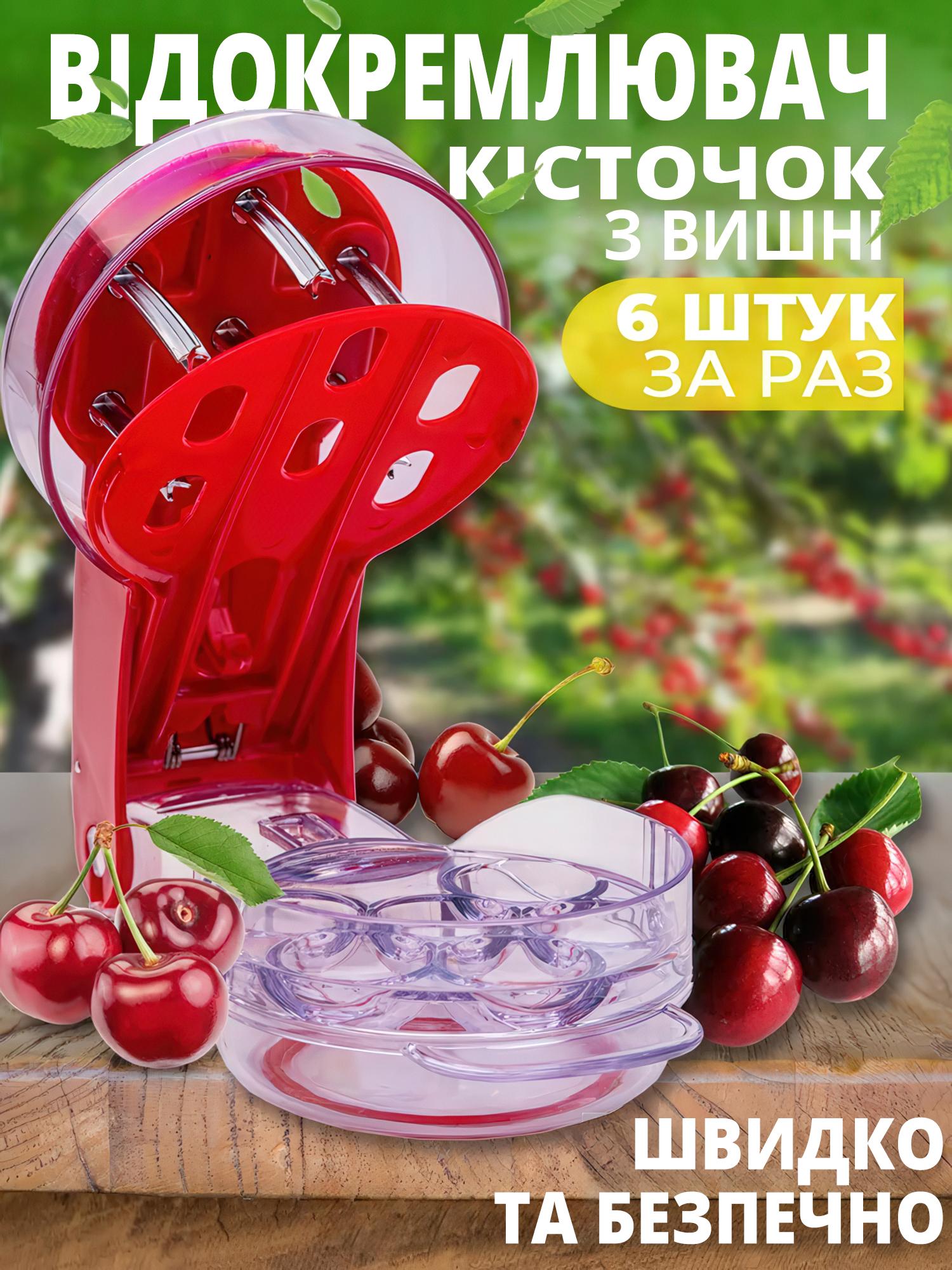 Ручной отделитель косточек на 6 ягод вишни/черешни/оливок - фото 2 Ручной отделитель косточек на 6 ягод вишни/черешни/оливок - фото 2