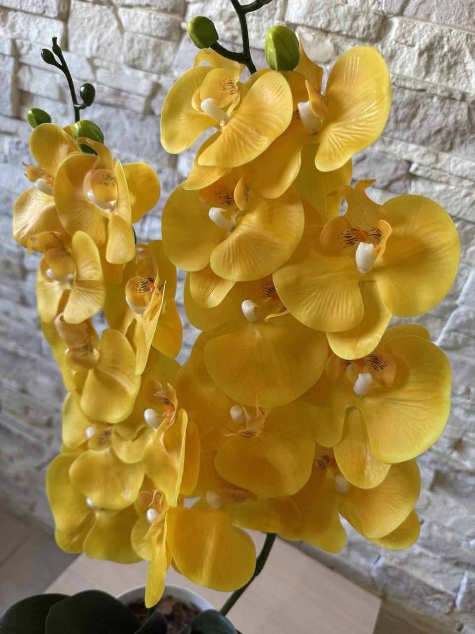 Орхідея штучна ПЛАСТМАКС латексна на дві гілки Жовтий (O28) - фото 3