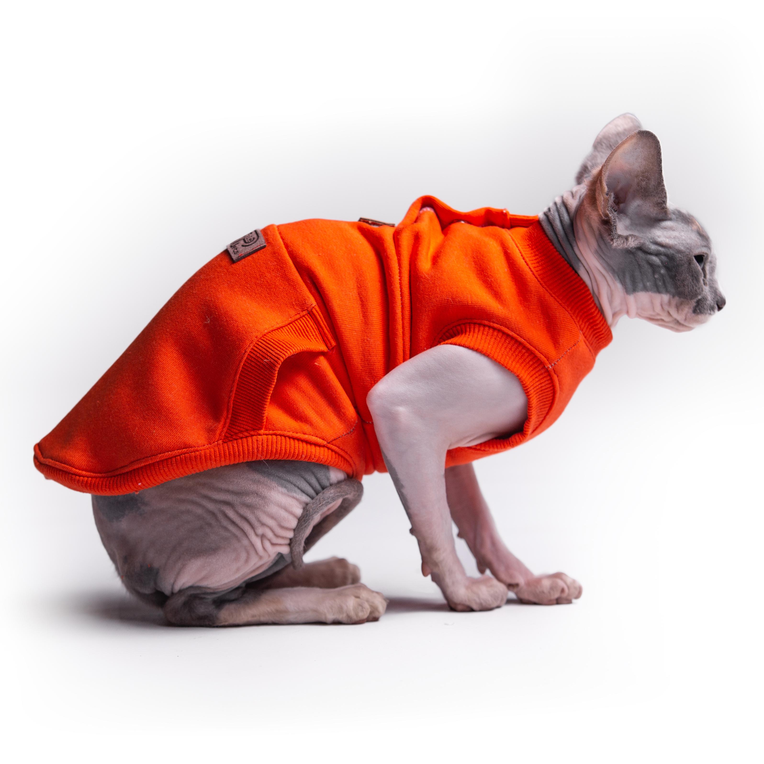 Майка спортивная для кошек Style Pets TVIXI XL Orange (475XL) - фото 5